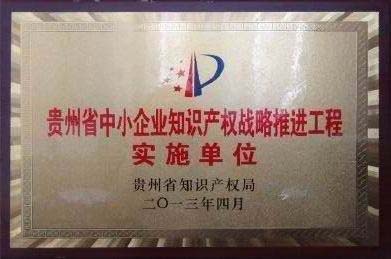 省知識產(chǎn)權(quán)戰(zhàn)略推進(jìn)工程實(shí)施單位